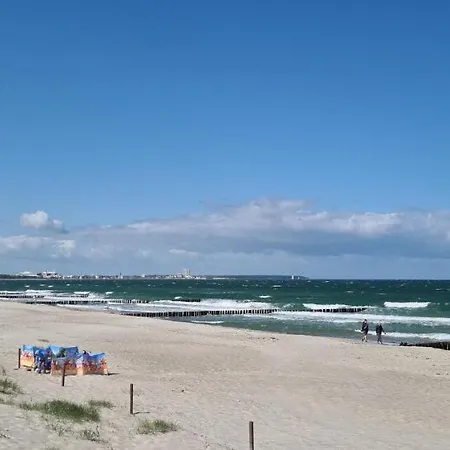 Ostseegras Markgrafenheide, 350m Bis Zur Ostsee, Unweit Von Warnemuende روستوك